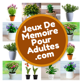 Jeux de mémoire gratuits pour personnes âgées et pour adultes: Les Pots
