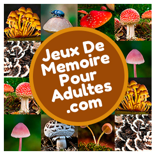 Jeux en ligne de mémoire gratuits pour adultes et pour personnes âgées: Les Hongos