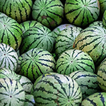 Jeux gratuits de mémoire en ligne pour personnes âgées et pour adultes: Légumes