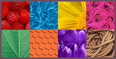 Jeux de Mémoire en ligne pour les Seniors: Les couleurs